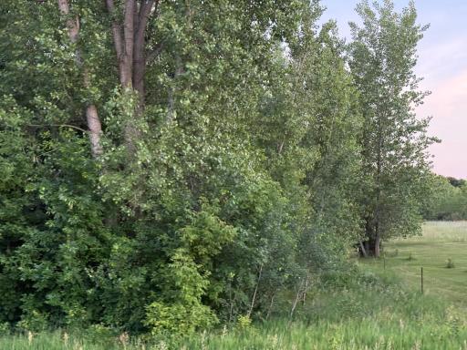 13473 Bittner Drive, Sauk Centre, MN 56378