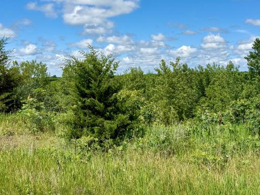 13473 Bittner Drive, Sauk Centre, MN 56378