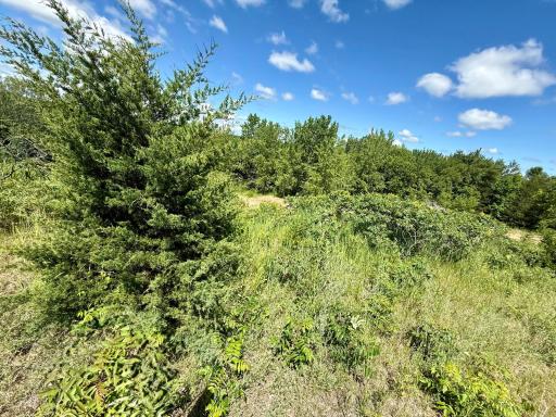 13473 Bittner Drive, Sauk Centre, MN 56378
