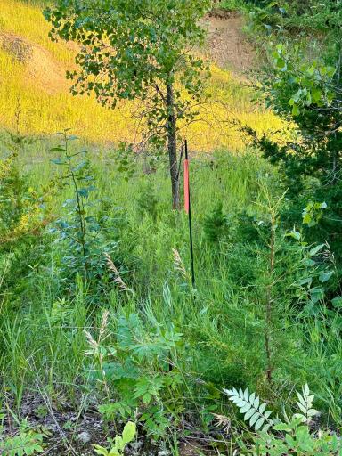 13473 Bittner Drive, Sauk Centre, MN 56378