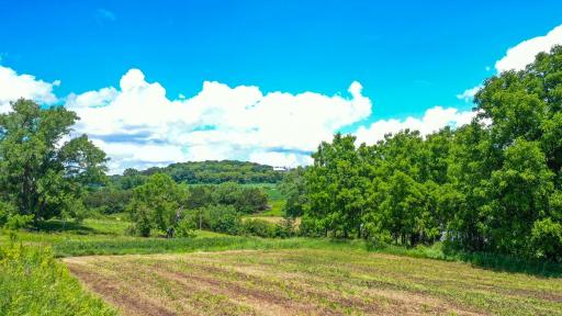 20860 Grosbeak Road, Lanesboro, MN 55949