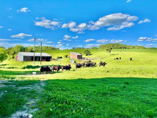 20860 Grosbeak Road, Lanesboro, MN 55949