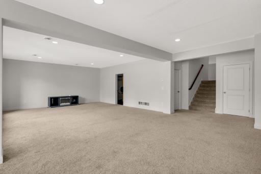 Huge lower level family room! Perfect for game or movie night!