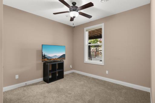 Lower Level 5th bedroom