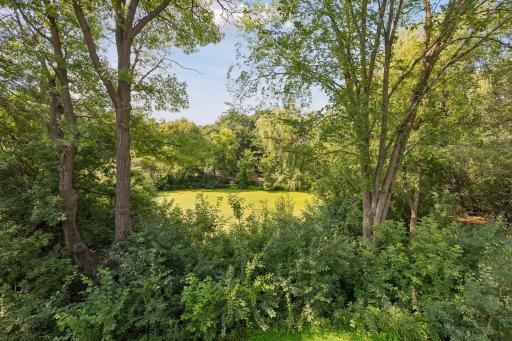 1191 Duckwood Trail, Saint Paul, MN 55123