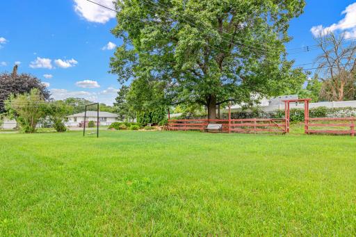 The backyard has endless space.