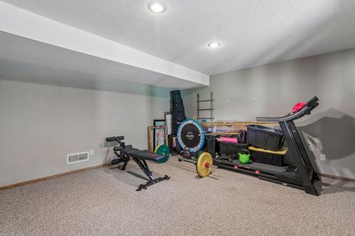 11825 177th Street W, Lakeville, MN 55044
