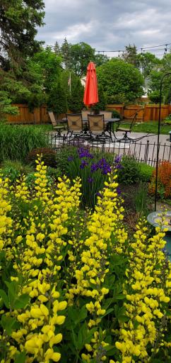 Thoughtfully designed, there's something blooming all the time in the backyard.