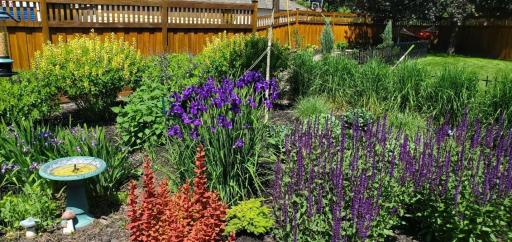 Attract birds and pollinators with ease.