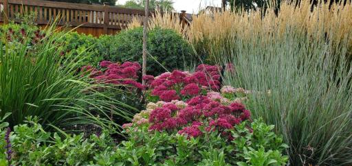 Be delighted by everything that springs up in this garden next year.