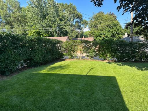 Private Back Yard Area Surrounded by Mature Lilac Bushes.