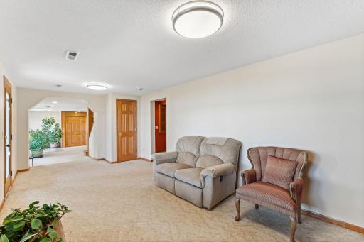 Versatile lower-level family room or amusement room with direct access to a second kitchen, providing an ideal layout for multi-generational living, extended stays, or entertaining guests.