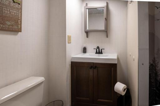 Basement Bathroom with Shower