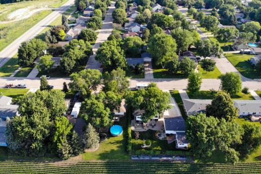 College View Neighborhood