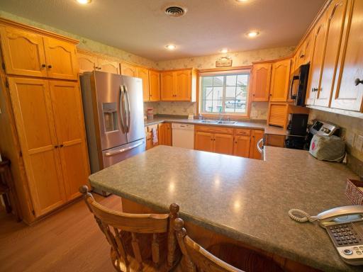 105 Harmon Lane, Litchfield, MN 55355