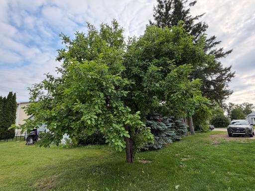 204 3rd Avenue SW, Roseau, MN 56751