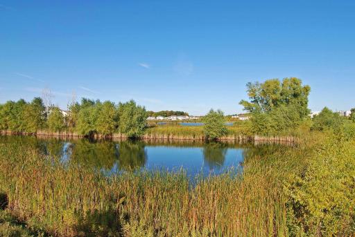 Views of Wetlands and mature trees to enjoy while taking a stroll.