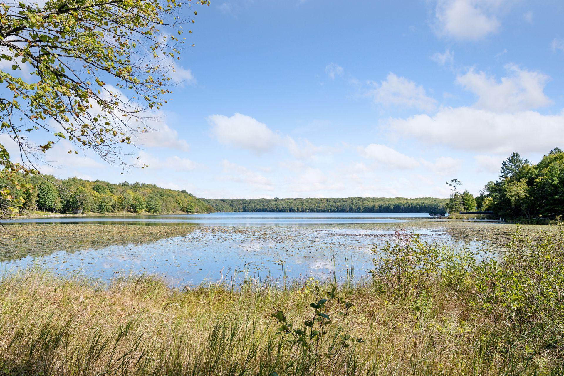 Bay