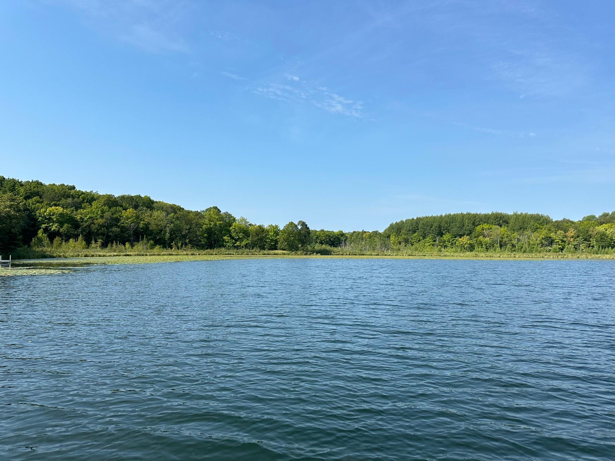 Bay