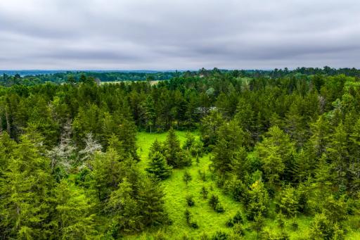 12891 Bemidji Road NE, Bemidji, MN 56601