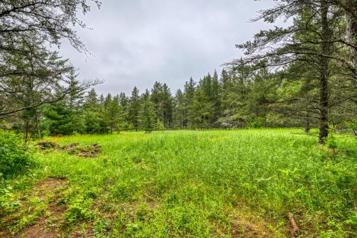 12891 Bemidji Road NE, Bemidji, MN 56601