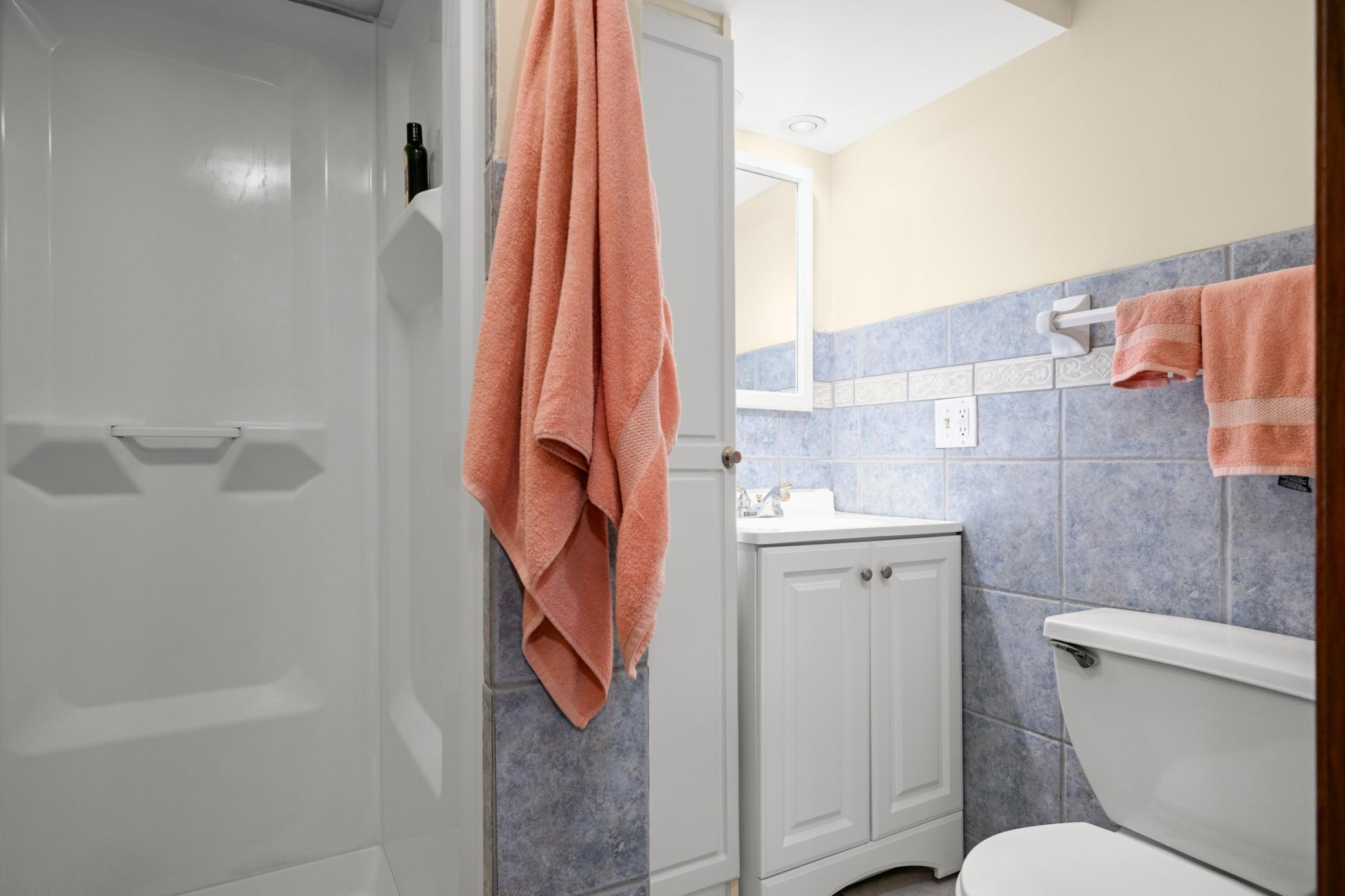 Lower level bath