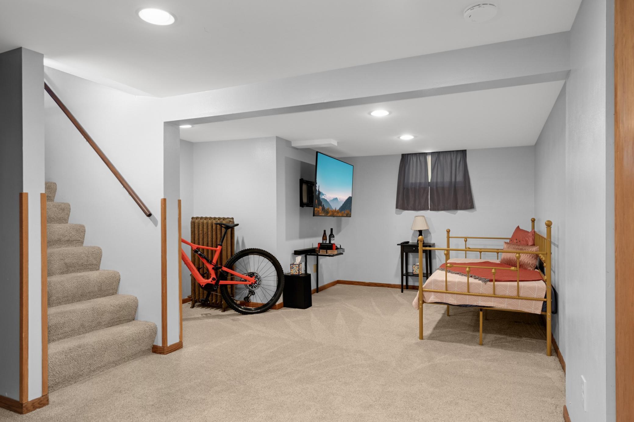 Great lower level family room