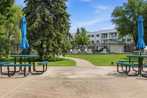 Picnic Area