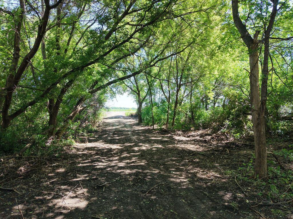 DJI_20260625112519_0023_D.JPG