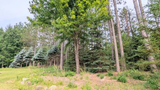 86196 Military Road, Sturgeon Lake, MN 55783