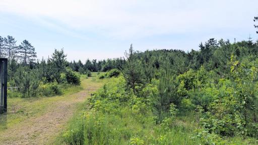 86196 Military Road, Sturgeon Lake, MN 55783
