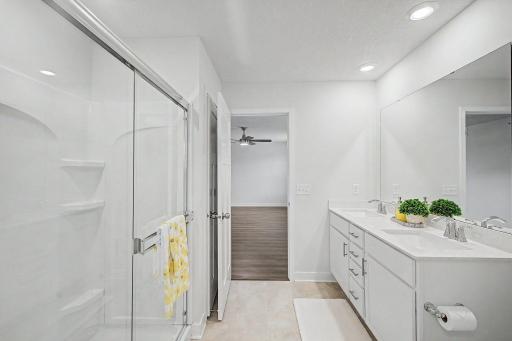 Primary ensuite bath step-in shower