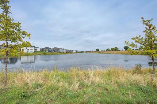 Natural abounds w/walking trails & ponds