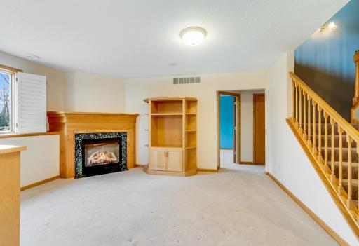 1421 Blue Flag Ct Northfield -18.jpg