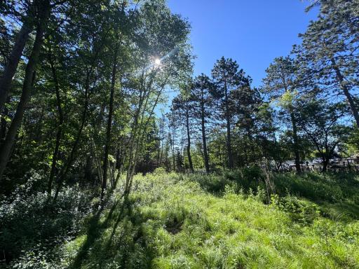TBD Franklin Avenue, Park Rapids, MN 56470