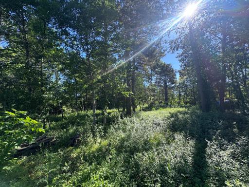 TBD Franklin Avenue, Park Rapids, MN 56470