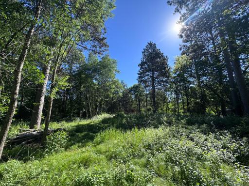 TBD Franklin Avenue, Park Rapids, MN 56470