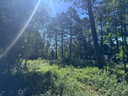TBD Franklin Avenue, Park Rapids, MN 56470