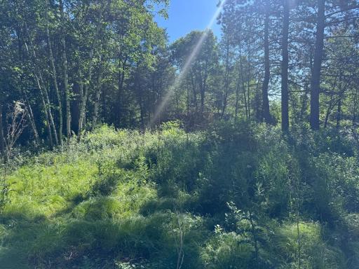 TBD Franklin Avenue, Park Rapids, MN 56470