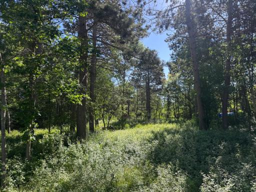 TBD Franklin Avenue, Park Rapids, MN 56470