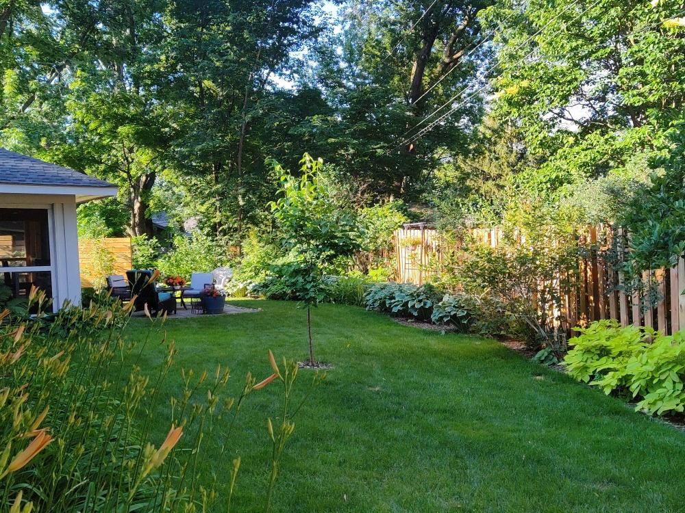 Rear yard