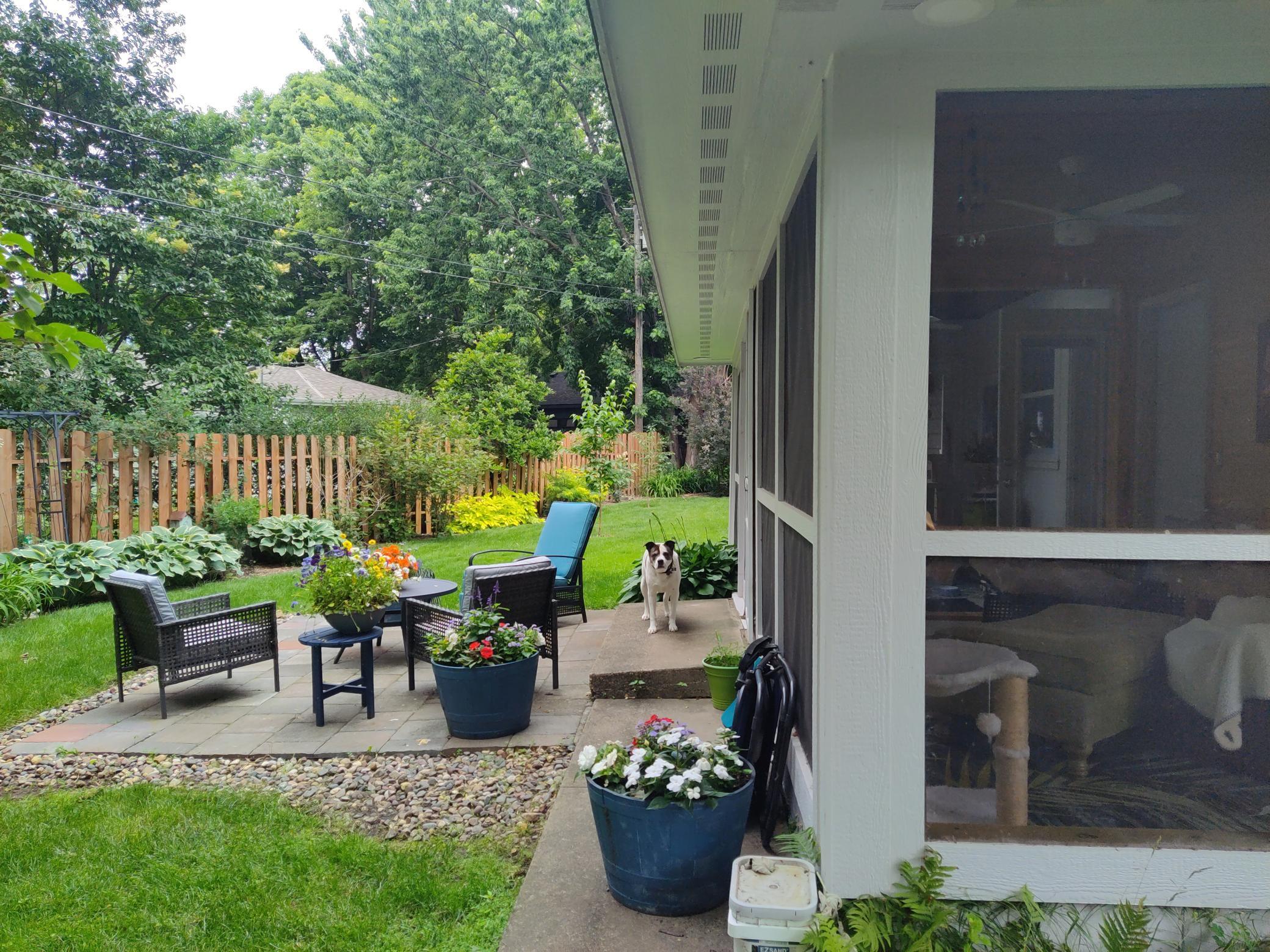 Rear patio off porch. Dog not included!