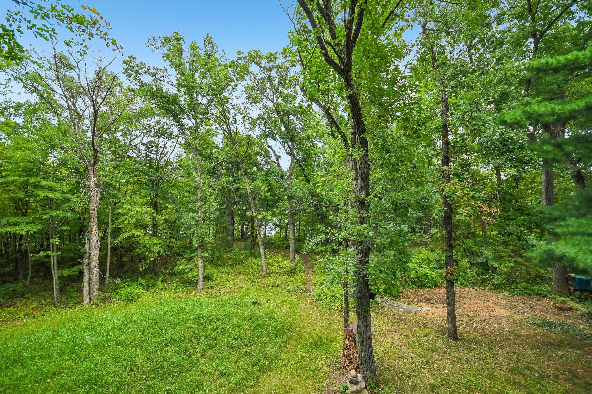 45-web-or-mls-Wild Mountain Rd-S0409-045.jpg
