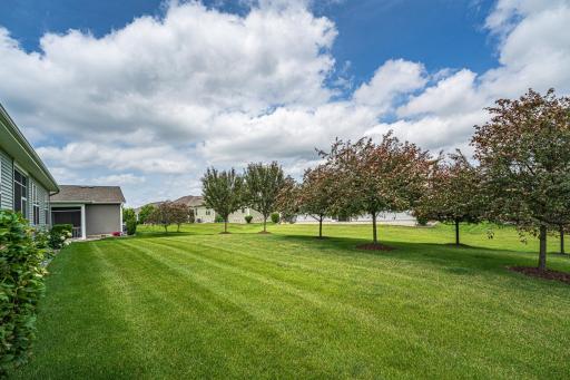 6336 W 133rd Street, Savage, MN 55378