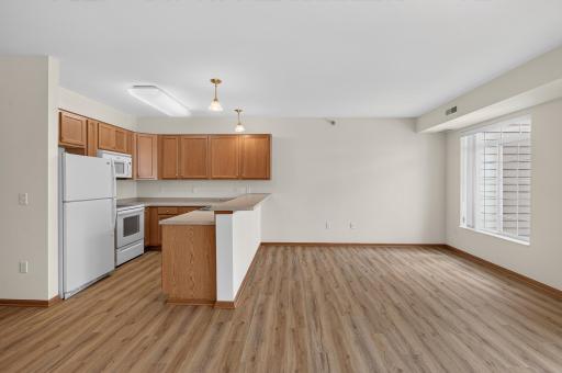 8200 W 33rd Street, 323, Saint Louis Park, MN 55426