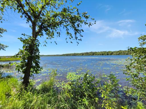 39331 State Highway 6, Emily, MN 56447
