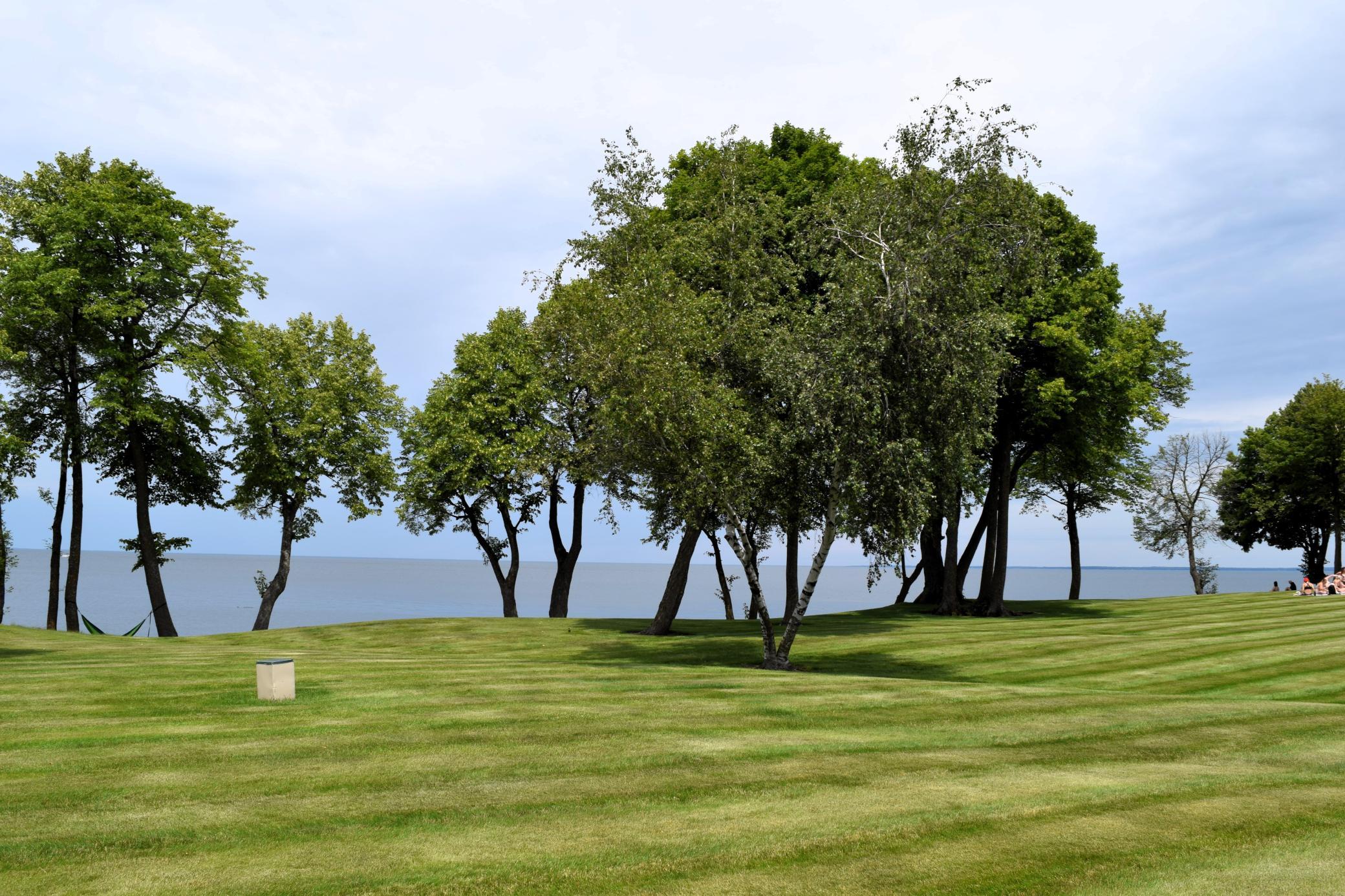 Panoramic view looking N