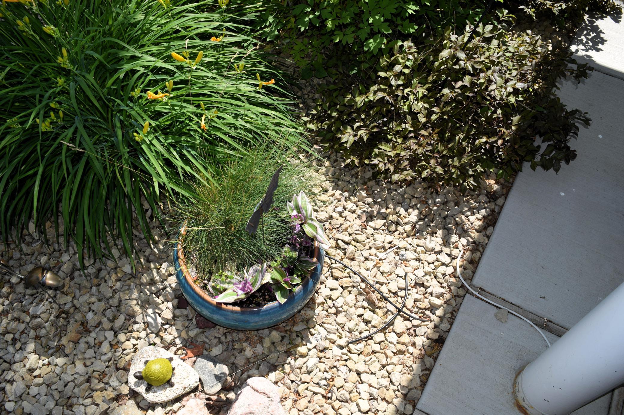 Watering system for your landscaping
