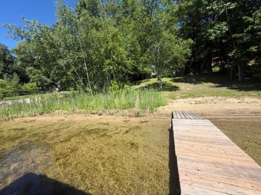 2047 Clover Lane NE, Longville, MN 56655