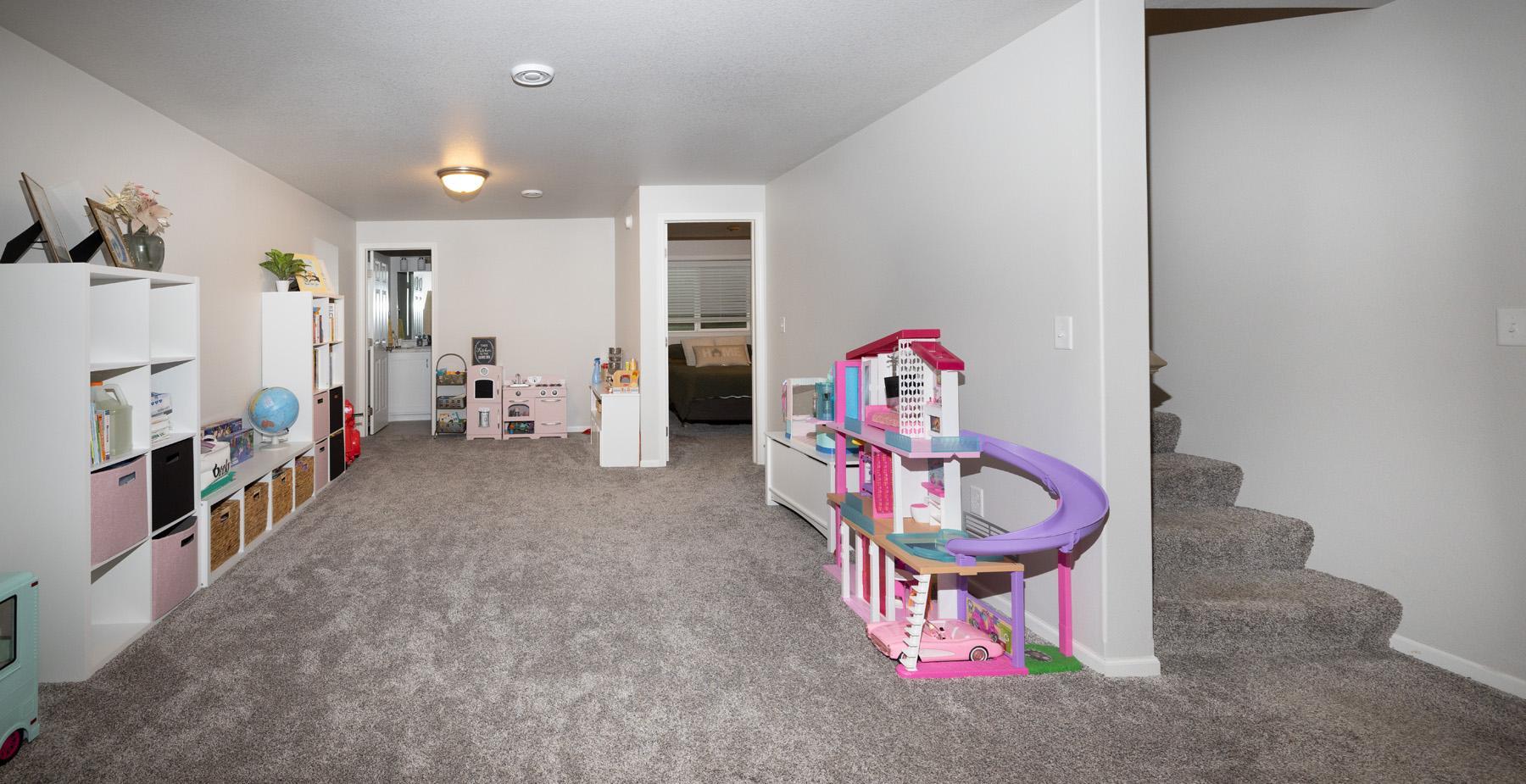 Basement Family Room